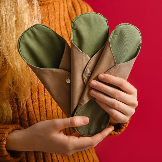 Absorbante zilnice reutilizabile
